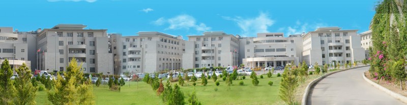 Genel Görünüm